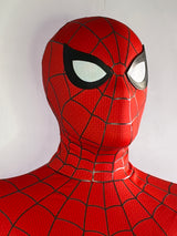 Screen Printed Spiderman Costume BND Spiderman Costume